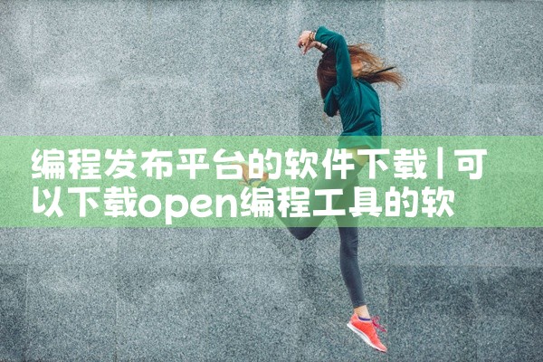 编程发布平台的软件下载