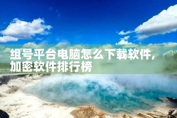 组号平台电脑怎么下载软件