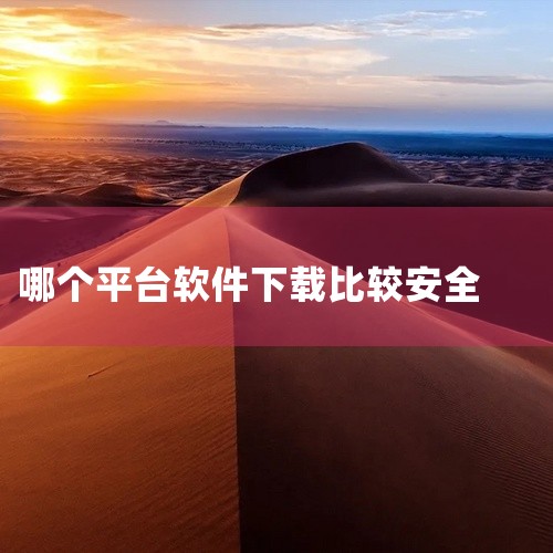 3. 酷安：这个网站以其严格的软件审核和活跃的开发者社区而获得了用户的信赖。它确保所有提供下载的软件都经过审查，以保证用户的使用安全，并且鼓励开发者与用户之间的互动。4. 豌豆荚：这个平台以其用户友好|