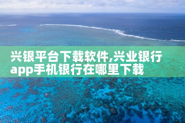 兴银平台下载软件