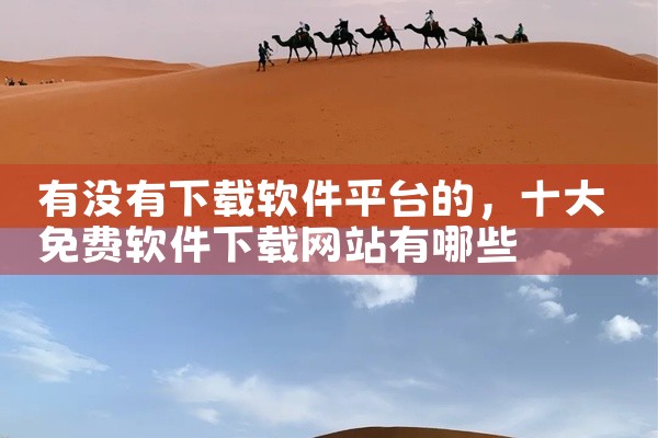有没有下载软件平台的