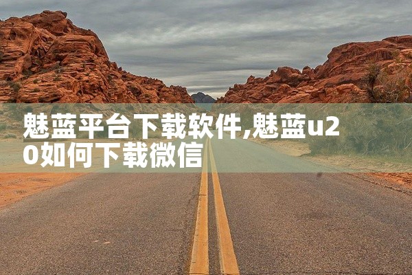 魅蓝平台下载软件