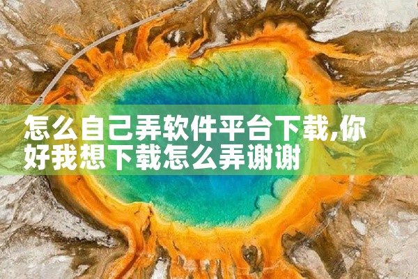 怎么自己弄软件平台下载