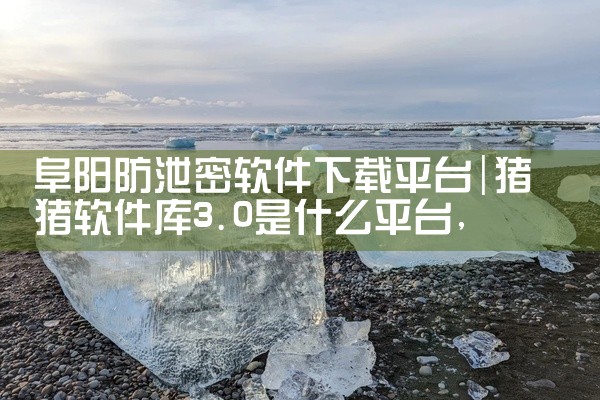 阜阳防泄密软件下载平台