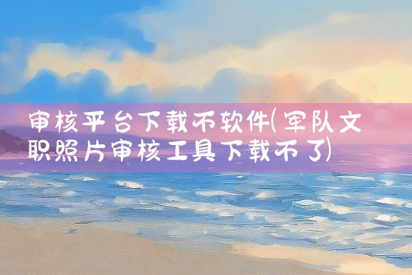审核平台下载不软件
