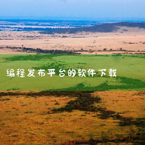 Open 编程工具涵盖多种类型，不同类型获取方式有别。一、常见的代码编辑器类1. Visual Studio Code：这是一款非常流行且功能强大的开源代码编辑器。它支持多种编程语言，拥有丰富的插件生,