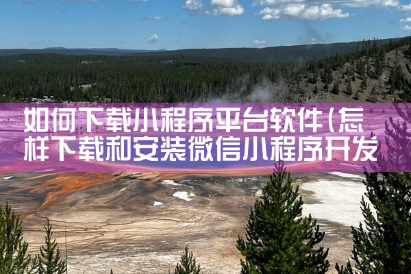 如何下载小程序平台软件