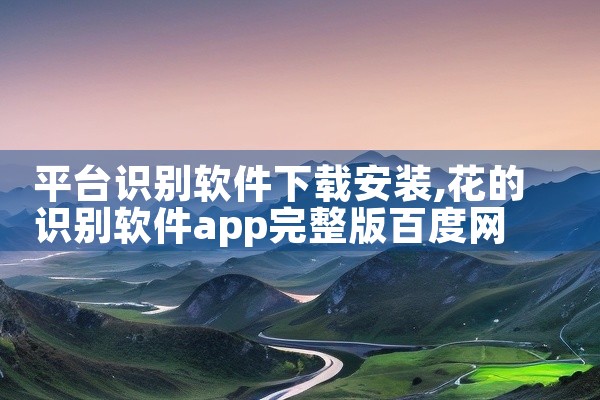 平台识别软件下载安装