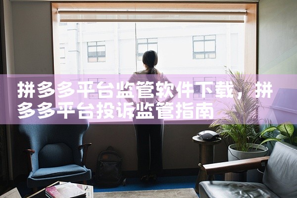 拼多多平台监管软件下载
