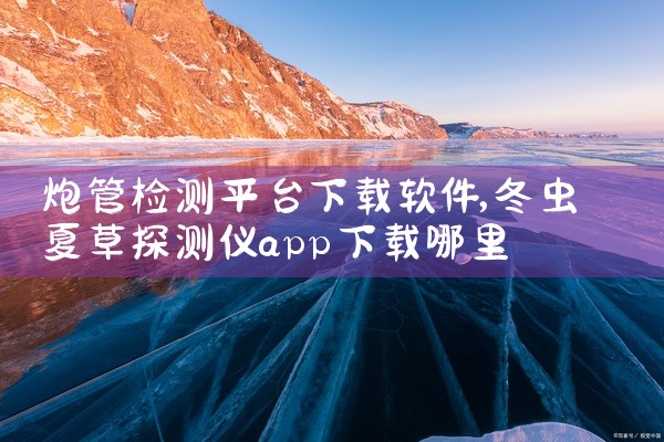 炮管检测平台下载软件