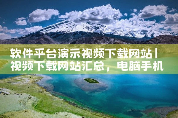 软件平台演示视频下载网站
