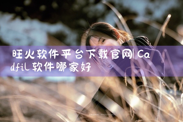 br平台是什么软件下载