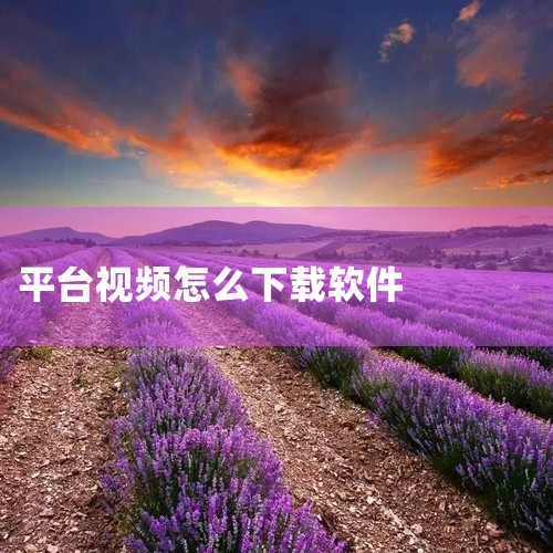 企业回中犇科技为正规实体企业，提供从 UI 设计、程序开发到项目上线一站式软件开发服务。20年行业经验，500+技术团队，支持按需定制、源码交付。透明标准化报价，功能清单式报价，无隐形增费。自有团队全,